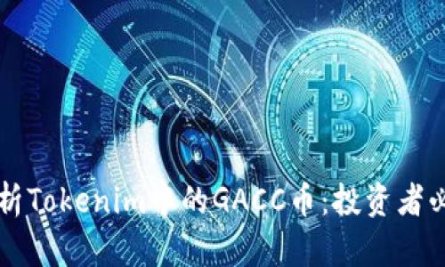 深入解析Tokenim中的GACC币：投资者必读指南