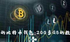 : 如何选择合适的比特币钱包：200多GB的数据存储