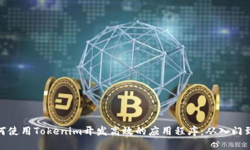 : 如何使用Tokenim开发高效的应用程序：从入门到进阶