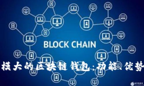 全面解析规模大的区块链钱包：功能、优势与顶尖推荐